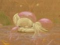 tumblr_mh22e0N1XR1qd4jqdo1_500.jpg